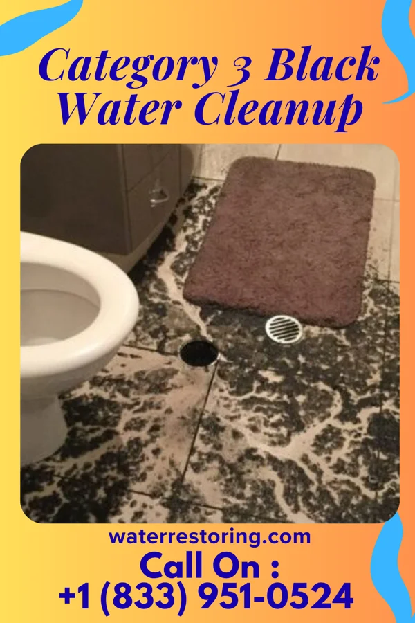 Category 3 Black Water Cleanup in Good Hope, GA