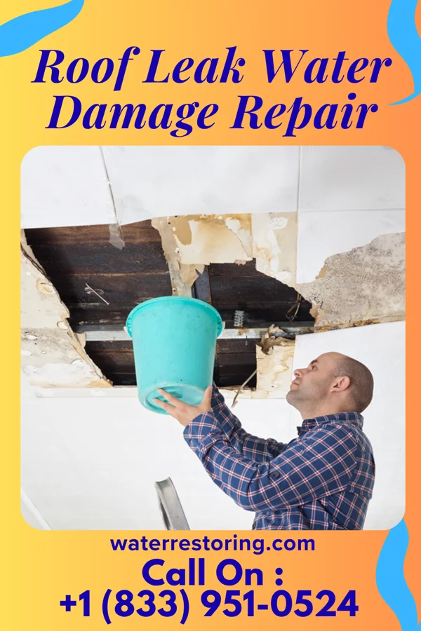 Roof Leak Water Damage Repair in Good Hope, GA